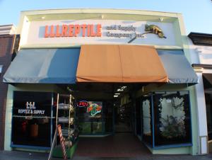 Lllreptile