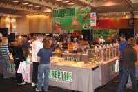 Reptile 2