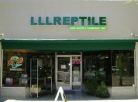 Reptile 4