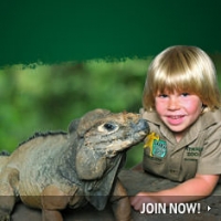 Australia Zoo
