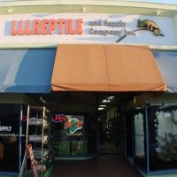 Lllreptile