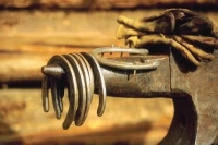 Tools Of The Horse Shoeing Business