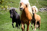 On The Charge