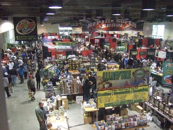 LllReptile Store